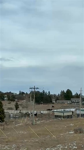 This is a horse sanctuary run by the Humane Horse Society around the corner from my daughter's place. | Candy Jones