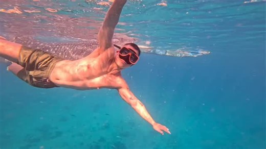 Two failed swimming lessons later, and somehow I still managed to “swim” with a whale shark. 🤣 Even accidentally touched it. 😅 | Dennis Cortez