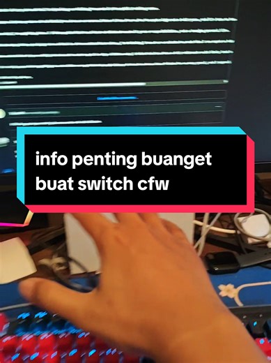 Pentingnya Update untuk CFW Nintendo Switch Setelah Pensiun