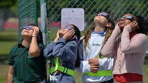 Everything You Need To Know about Spring Break in Sarasota-Manatee This Year