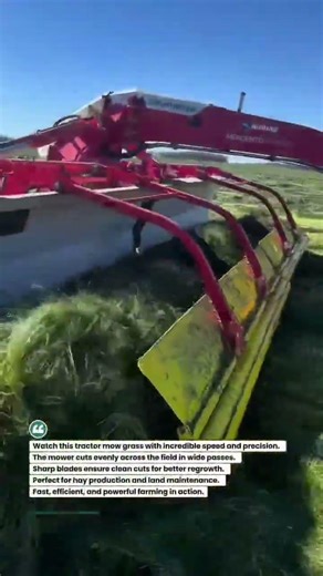 Fast Grass Cutting with Tractor Mower Machine! #farming #tractor #agriculture