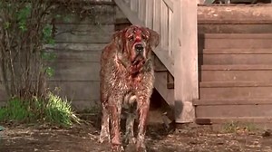 Netflix to remake the classic Stephen King horror film ‘Cujo’