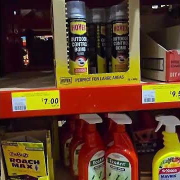 Bunnings Fogger Bug Bomb Large Review