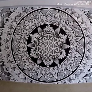 8.2K views · 67 reactions | This is the most mesmerizing artwork you could ever come across!  | Daily Mail Video | Facebook