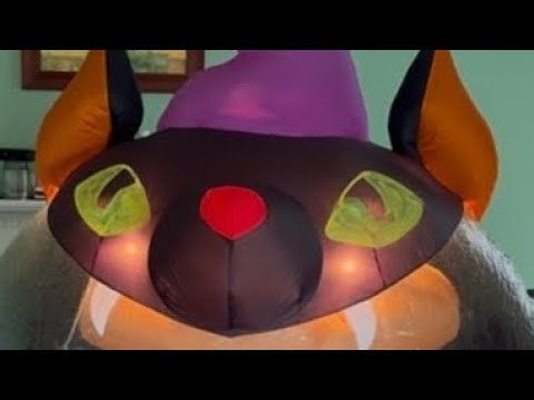 Gemmy 2006 6ft inflatable cat prototype globe