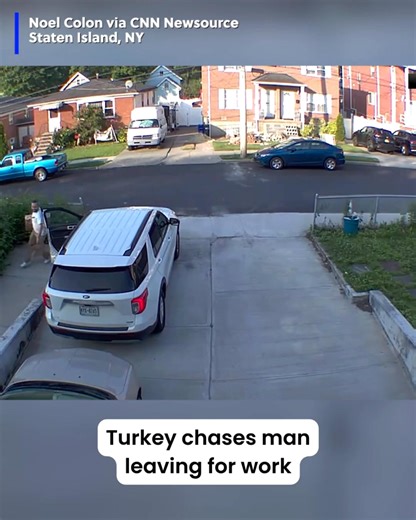 2.9M views · 11K reactions | We hope your Monday has gone better than THIS! 藍 | Live 5 News | Facebook