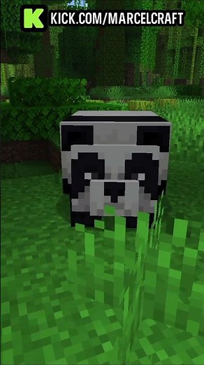 Marcel Found a Panda in Minecraft
