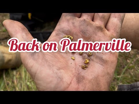 First day prospecting on Palmerville for 2026
