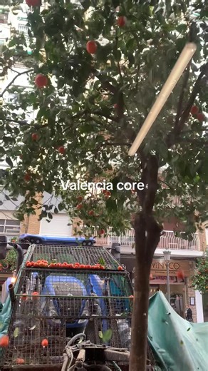 #humor #vlc #core