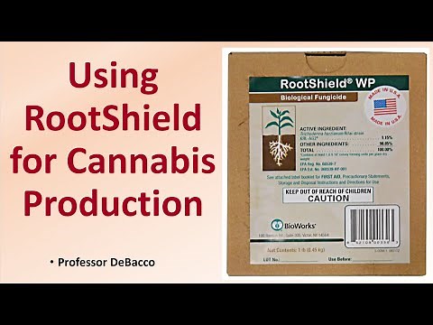 Using RootShield for Cannabis Production