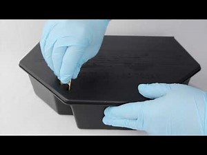 Bell Laboratories- PROTECTA LP