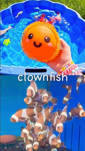 Kids Learn | Sea Animal Names with Toys: Starfish Whale Crab Clownfish Dolphin