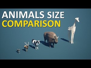 Animal Size Comparison | 3d Animation Comparison | Part 2