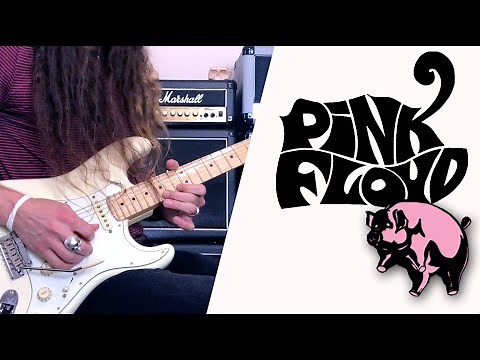Pink Floyd: Dogs Guitar Solos (ALL)