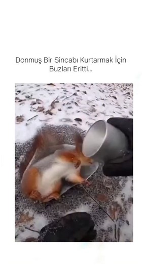 empty on Instagram: "The post shares an AI-generated video of a man using hot water to melt ice around a supposedly frozen squirrel, which has amassed 7,947 likes and 4.7 million views since January 17, 2026. Fact-checks in replies, including from Grok, identify it as fake due to impossible physics like the squirrel dissolving unnaturally, with origins traced to entertainment content on platforms like Facebook. It exemplifies a viral trend of misleading AI videos about frozen animal rescues, aki