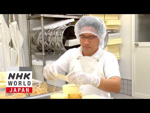 Cheesemaker and Dairy Farmer: Matsubara Masanori - FRONTRUNNERS