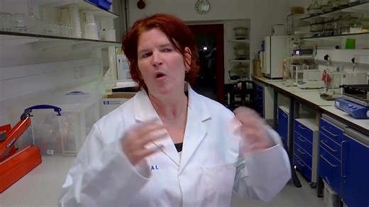 Scientists retrieved the longest sediment core yet from beneath the West Antarctic Ice Sheet, aiming to understand its past changes and how it may respond to future warming. | Reuters