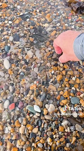 seaham4seaglass on TikTok
