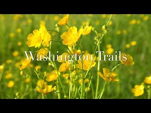 Bridle Crest Trail | Redmond Washington | Washington Trails & Hiking