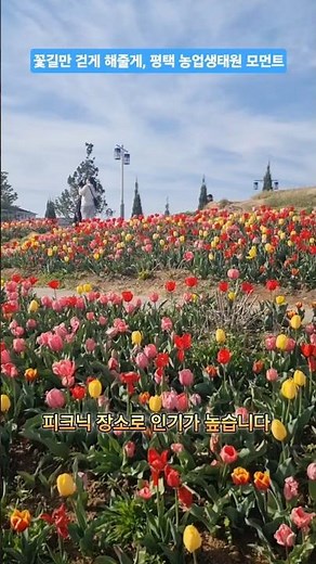 평택에서 네덜란드를 만날 수 있는 곳, 평택시 농업생태원