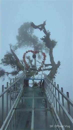 Dabling View Point || Xerong View Point || Dabling || New Offbeat Place || Lava || Lolegaon