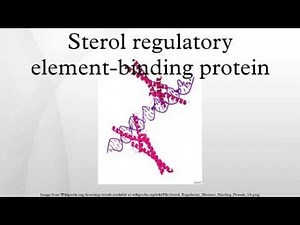 Sterol regulatory element-binding protein