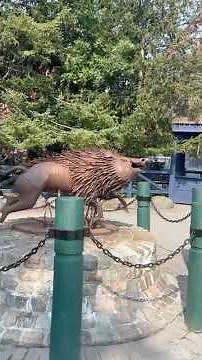 Canada’s Wonderland’s Bumpy & Wild Coaster – Wilde Beast Ride!