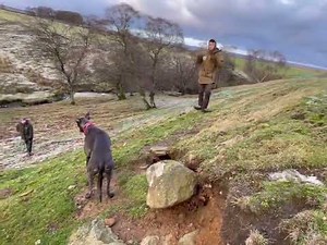 Using long nets to catch rabbits 🐇