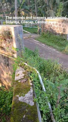 Small village on the island of Java, Indonesia #gowes #jawatengah#kampunggowes