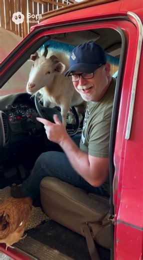 Check Engine Light Fix Kit #ridiculousspeedshop #racecar #checkenginelight #funny #checkengine