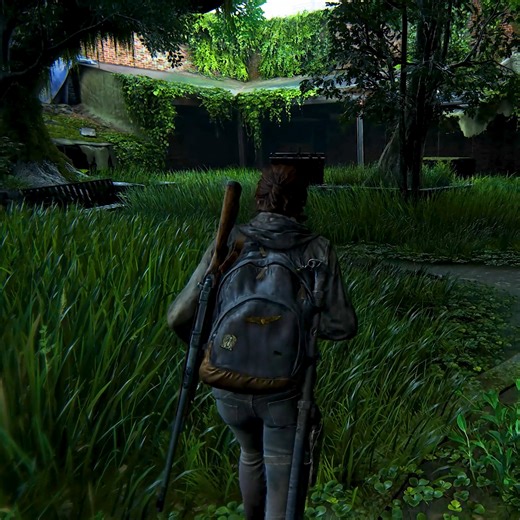 3.6K views · 44 reactions | If you don't have a hidden blade, use a knife to assassinate the last survivor  | SA | Facebook