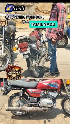 STAR CAT OPENING WORK AVAILABLE