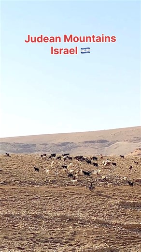 Judean Mountains, Israel 🇮🇱 | Visit Israel From Your Home