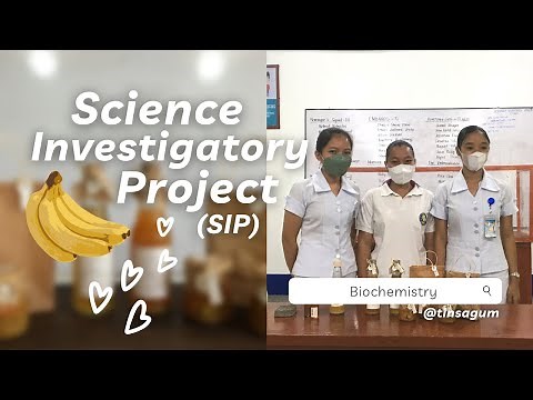 Science Investigatory Project (SIP) // Biochemistry // Experimental Research