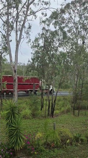 cattletrucks in Australia
