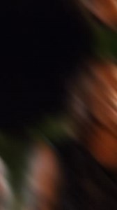 8.6K views · 162 reactions | "¿Conoces la historia de superación de Danny Trejo?" #DannyTrejo #HistoriasReales #Inspiración #SuperaciónPersonal #HollywoodStories #ActoresDeLeyenda #CineYMotivación | FredReaccion | Facebook