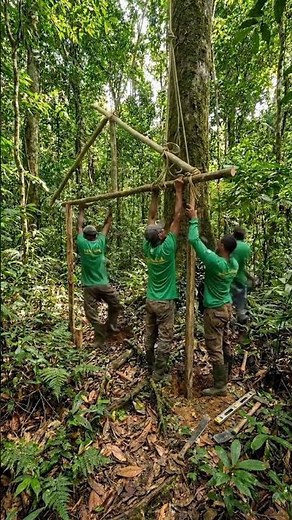Building a Jungle Survival House 🌿 Step-by-Step From Nothing to Cozy Shelter