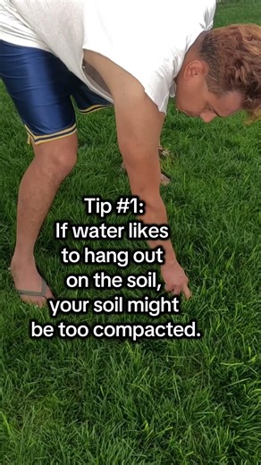 How to Compaction Fix 🌿 – Simple Lawn Care Tips for Homeowners #SoilCompaction #SpringLawnCare