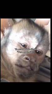 174K views · 6.7K reactions | te voy a contar algo pero no te rias. yo: | Exámenes Express | Facebook