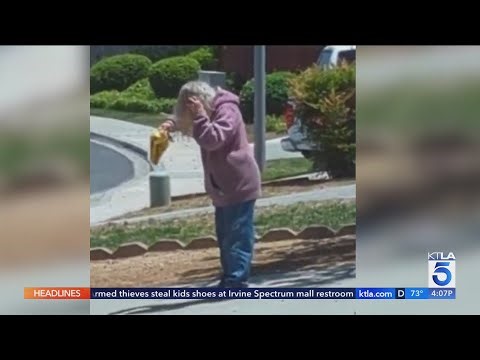 Southern California woman suffers 1,000 bee stings