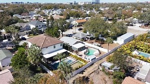 Impact of 2024 hurricanes on Tampa’ tree canopy