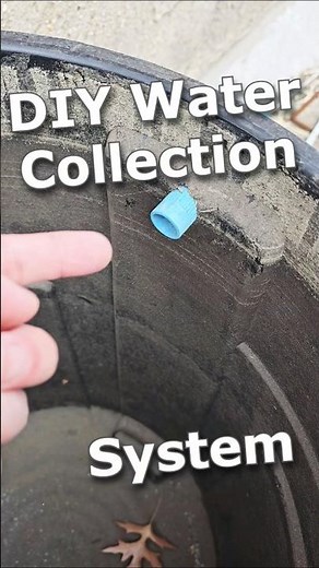 DIY Rainwater Collection System (Easy & Affordable Setup) - getting ready for Spring rain