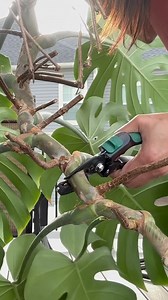 285K views · 30K reactions | One year ago today… Still shaking my...