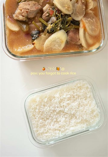 Quick and Easy Shirataki Rice Lunch Ideas