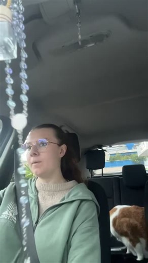 Le trajet drôle avec mon chat !