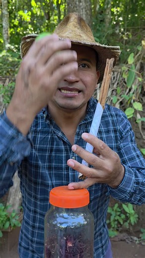 Beneficios de un Huerto para la Salud y Pérdida de Peso