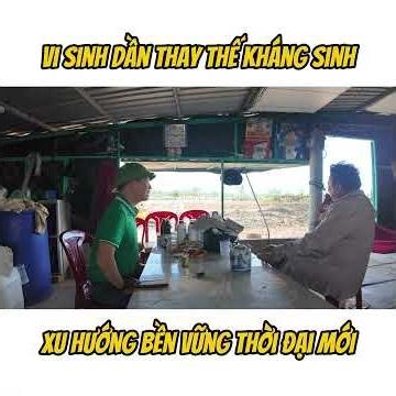 Xu hướng bền vững thời đại mới #vũđứcthiện #visinhtrungquoc