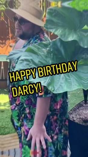 Celebrating Darcy's Birthday With Joy and Gratitude