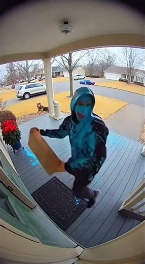 Thief Grabs Package — Instantly Covered in Paint & Chased by Dog