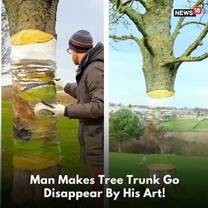 Just Wow and how? Man makes tree trunk go disappear by his art! Take a look if you don't believe it : NextSkillslevel/Twitter #3dart #painting #treetrunk | News18 | Facebook